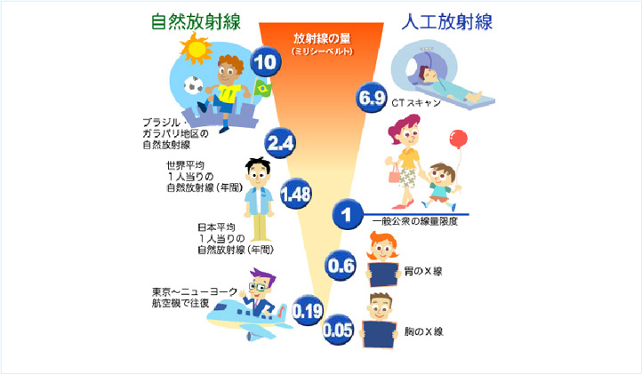 放射線被曝について